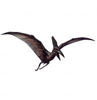 Click image for larger version. 

Name:	Pterodactyl - 001.jpg 
Views:	98 
Size:	44.8 KB 
ID:	11336