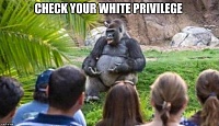 Click image for larger version. 

Name:	whiteprivilege speech.jpg 
Views:	307 
Size:	127.7 KB 
ID:	12257