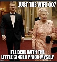 Click image for larger version. 

Name:	Ginger prick 83458525_456129122008787_5618197014241083392_n.jpg 
Views:	41 
Size:	36.6 KB 
ID:	13860