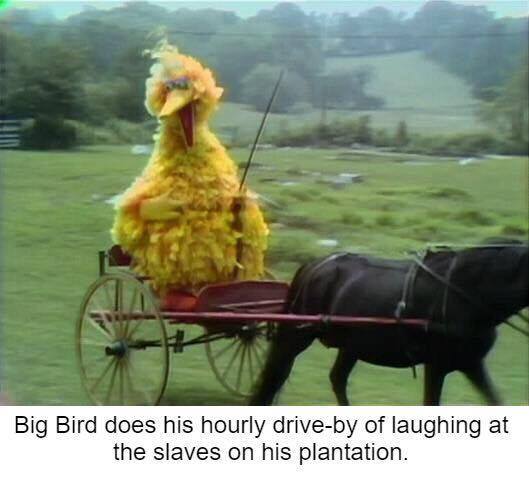 Click image for larger version. 

Name:	big bird on the plantation.jpg 
Views:	1511 
Size:	32.4 KB 
ID:	14264