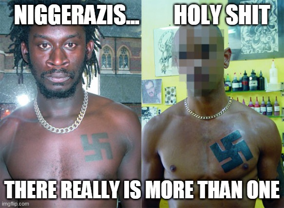 Click image for larger version. 

Name:	niggerazis more than one.jpg 
Views:	1452 
Size:	75.7 KB 
ID:	14347
