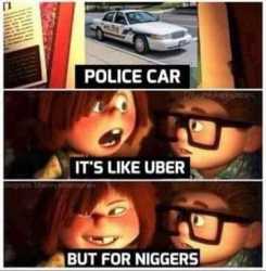 Click image for larger version. 

Name:	cop car is uber for niggers.jpg 
Views:	1589 
Size:	11.0 KB 
ID:	14592