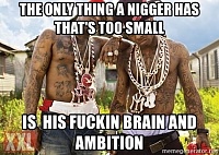 Click image for larger version. 

Name:	brain-and-ambition.jpg 
Views:	118 
Size:	126.4 KB 
ID:	14820