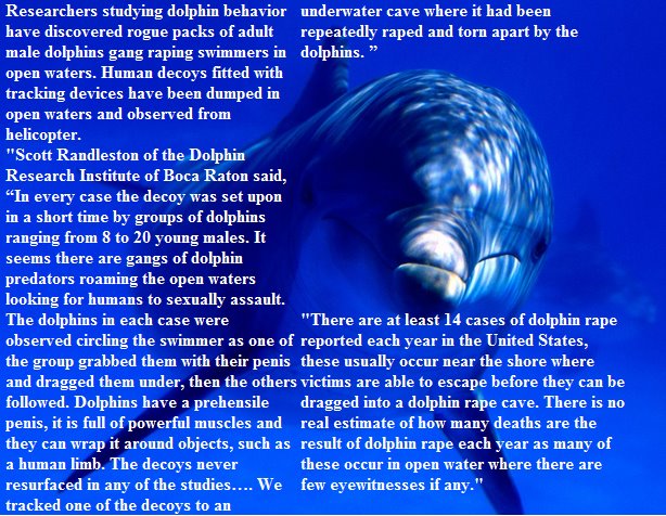 Click image for larger version. 

Name:	dolphins are niggers of the sea.jpg 
Views:	333 
Size:	122.6 KB 
ID:	15253