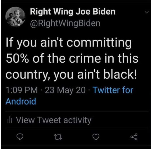 Click image for larger version. 

Name:	biden you aint black.png 
Views:	1737 
Size:	143.2 KB 
ID:	16823