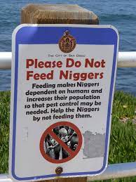 Name:  niggers do not feed sign1index.jpg
Views: 184
Size:  11.5 KB