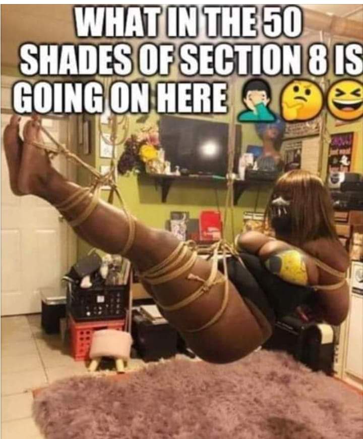 Click image for larger version. 

Name:	what in the 50 shades of section 8.jpg 
Views:	1213 
Size:	65.0 KB 
ID:	18644