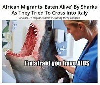 Click image for larger version. 

Name:	Bad News For Great White.jpeg 
Views:	41 
Size:	64.6 KB 
ID:	19583