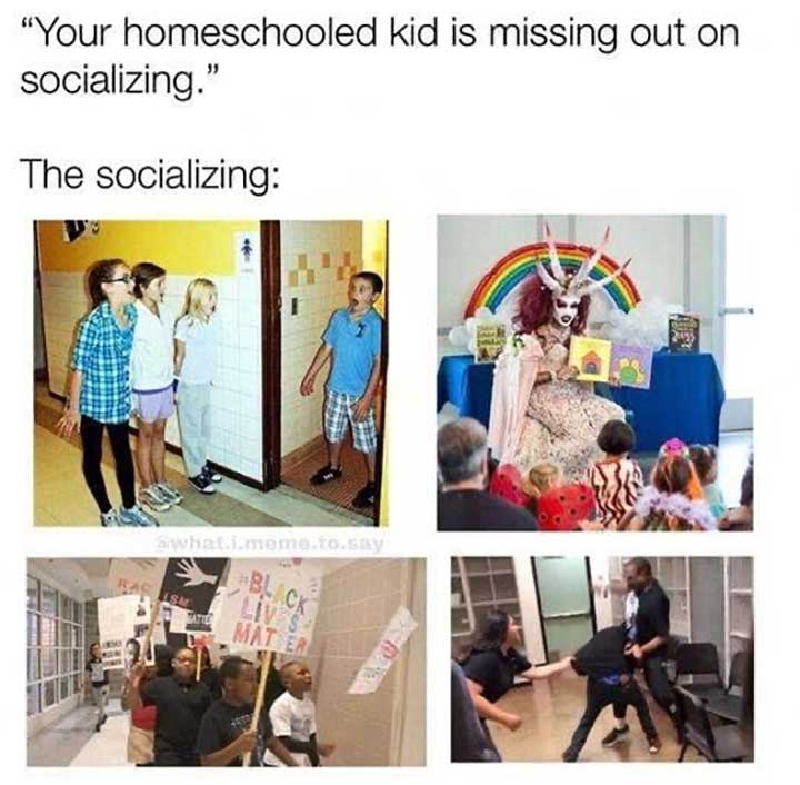 Click image for larger version. 

Name:	homeschooled-kid-missing-out-on-socializing.jpg 
Views:	1122 
Size:	56.5 KB 
ID:	20089