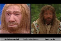 Click image for larger version. 

Name:	bbcs-neanderthal-totally-looks-like-chuck-norris.jpeg 
Views:	37 
Size:	23.0 KB 
ID:	20453