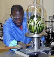 Click image for larger version. 

Name:	black scientist in the world working on turning watermelons into basketballs. - Funny.png 
Views:	48 
Size:	657.6 KB 
ID:	20566