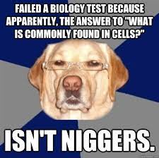Name:  cells racist dog 1index.jpg
Views: 376
Size:  11.3 KB