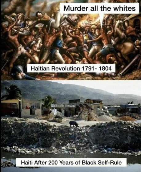 Name:  haiti-rebellion-e1644433104149.jpeg
Views: 391
Size:  77.9 KB