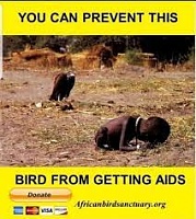 Click image for larger version. 

Name:	Vulture Gets AIDS.jpg 
Views:	31 
Size:	12.7 KB 
ID:	22946