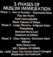 Click image for larger version. 

Name:	3 phases of asslifter immigration.jpg 
Views:	45 
Size:	109.6 KB 
ID:	23576