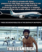 Click image for larger version. 

Name:	nigger boeing.jpg 
Views:	41 
Size:	96.0 KB 
ID:	24530