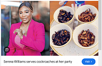 Click image for larger version. 

Name:	serena williams cockroaches - Google Search.png 
Views:	28 
Size:	393.4 KB 
ID:	24610