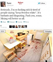 Click image for larger version. 

Name:	race mixing bloody mess.jpg 
Views:	26 
Size:	105.9 KB 
ID:	24873