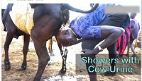 Click image for larger version. 

Name:	cowshower04 113124.jpg 
Views:	2 
Size:	72.7 KB 
ID:	25318