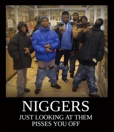 Name:  niggers just looking at them ddcddc818868e071.jpg
Views: 115
Size:  55.9 KB