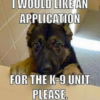 Click image for larger version. 

Name:	K9unit.png 
Views:	100 
Size:	88.3 KB 
ID:	4005