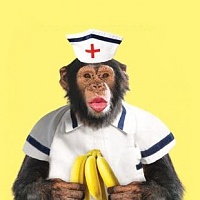 Click image for larger version. 

Name:	nurse-chimp-get-well-soon-card-3005874-0-1359413191000.jpg 
Views:	80 
Size:	21.2 KB 
ID:	4629