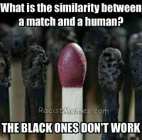Click image for larger version. 

Name:	nigger-memes-300x296.jpg 
Views:	2000 
Size:	19.7 KB 
ID:	6256
