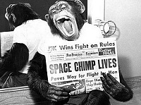Click image for larger version. 

Name:	chimponaut.jpg 
Views:	70 
Size:	24.3 KB 
ID:	7624